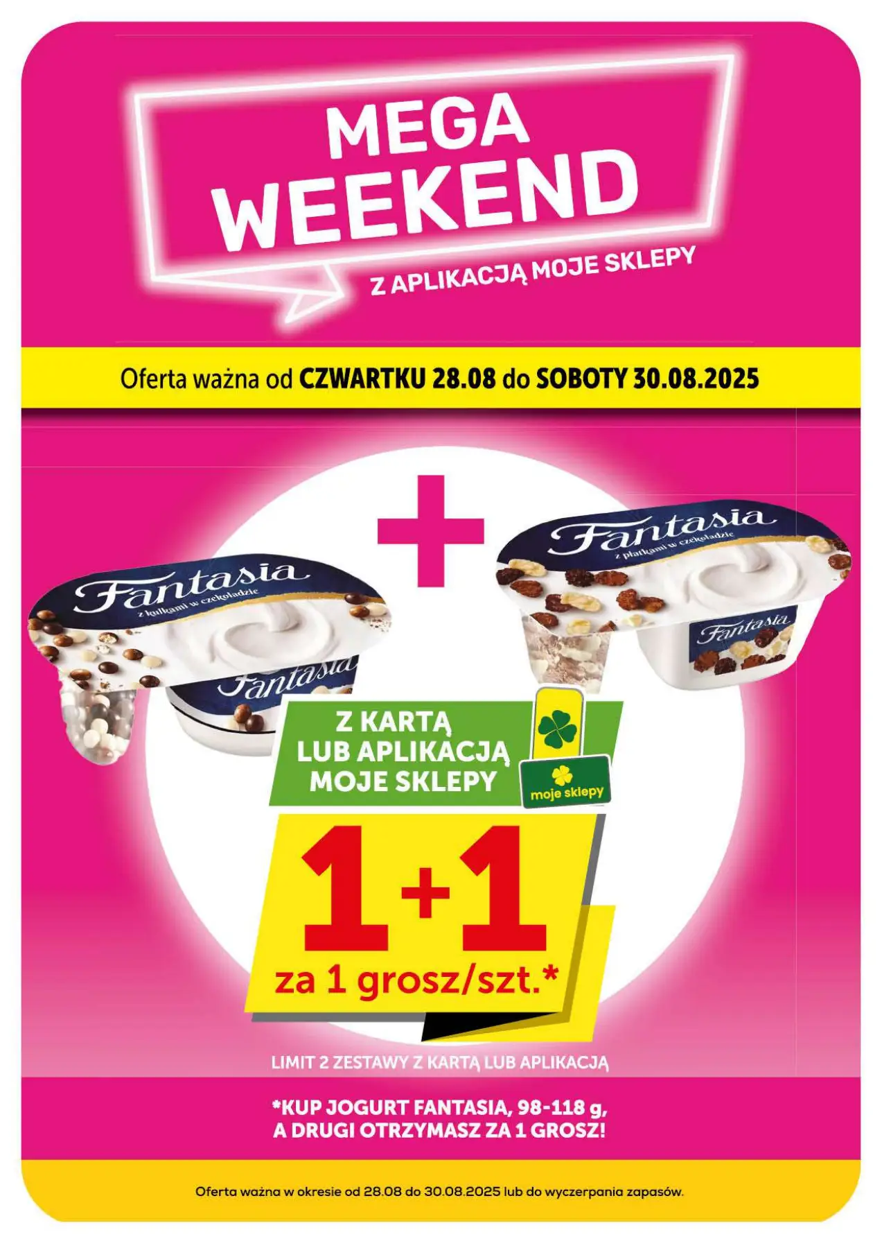 Strona 17
