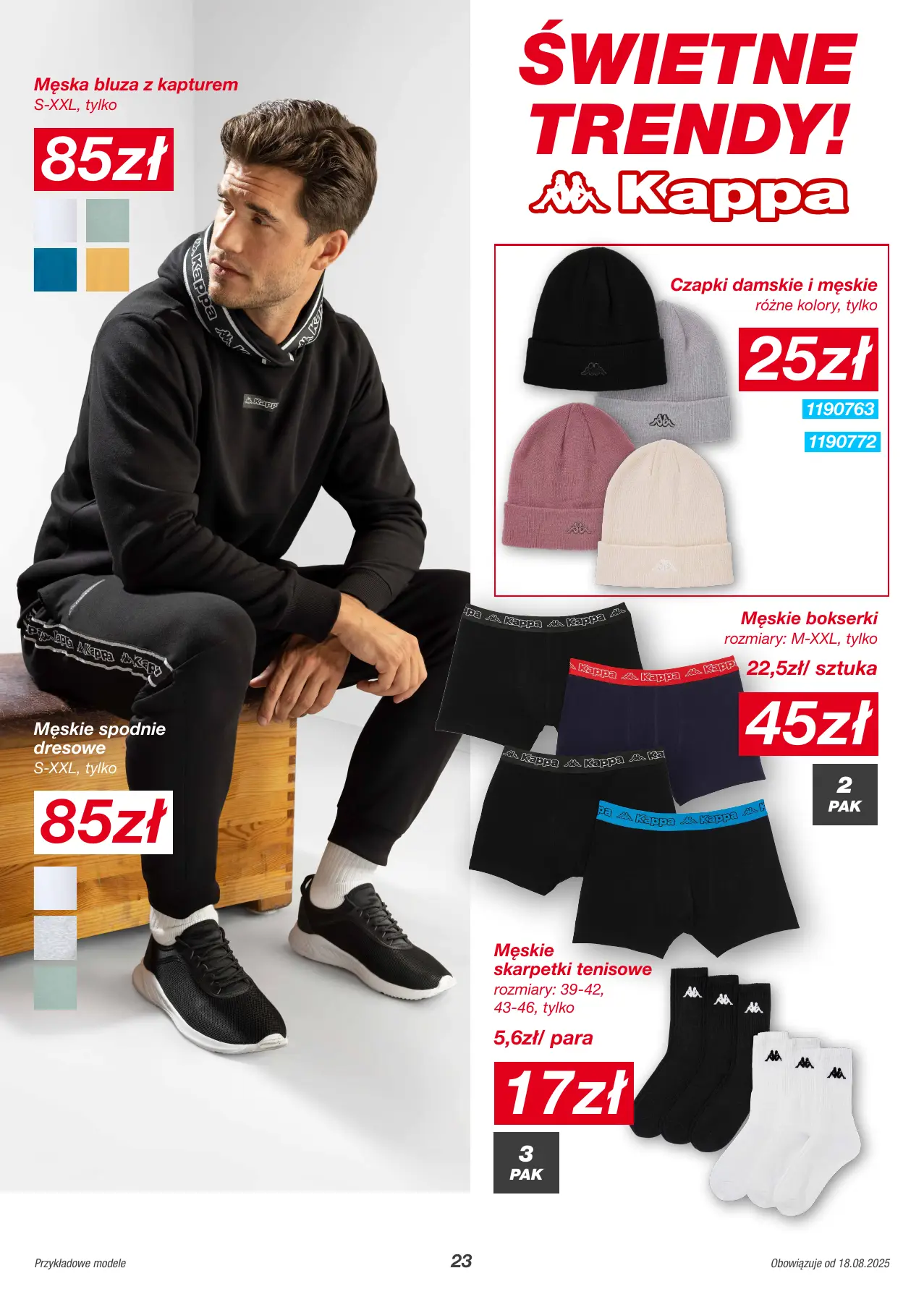 Strona 23